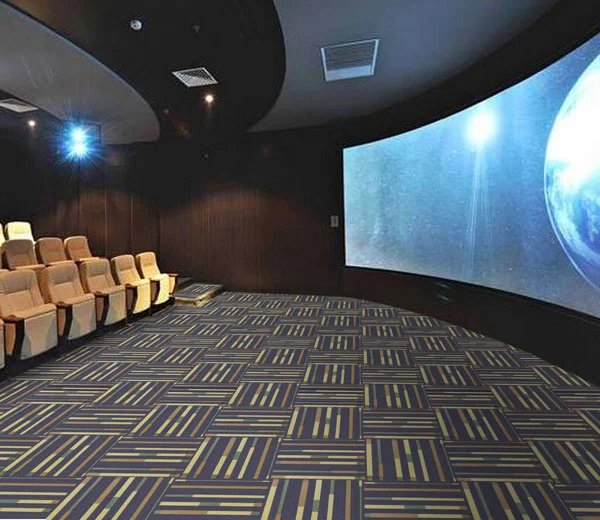 Cinema carpet (2)