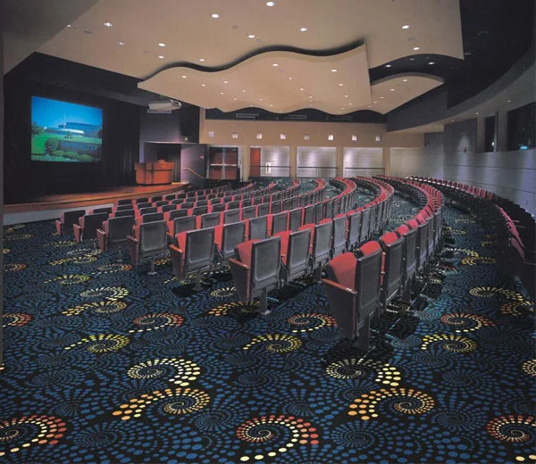 Cinema carpet (9)